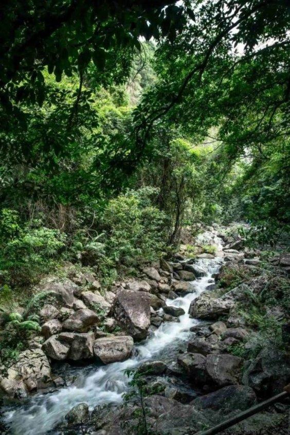 贵州石阡:仡佬毛龙赶制忙